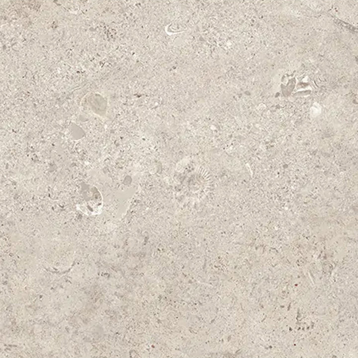 Coralstone Calcite 60 x 120cm Rectified Porcelain Floor Tile - 1.44sqm perbox