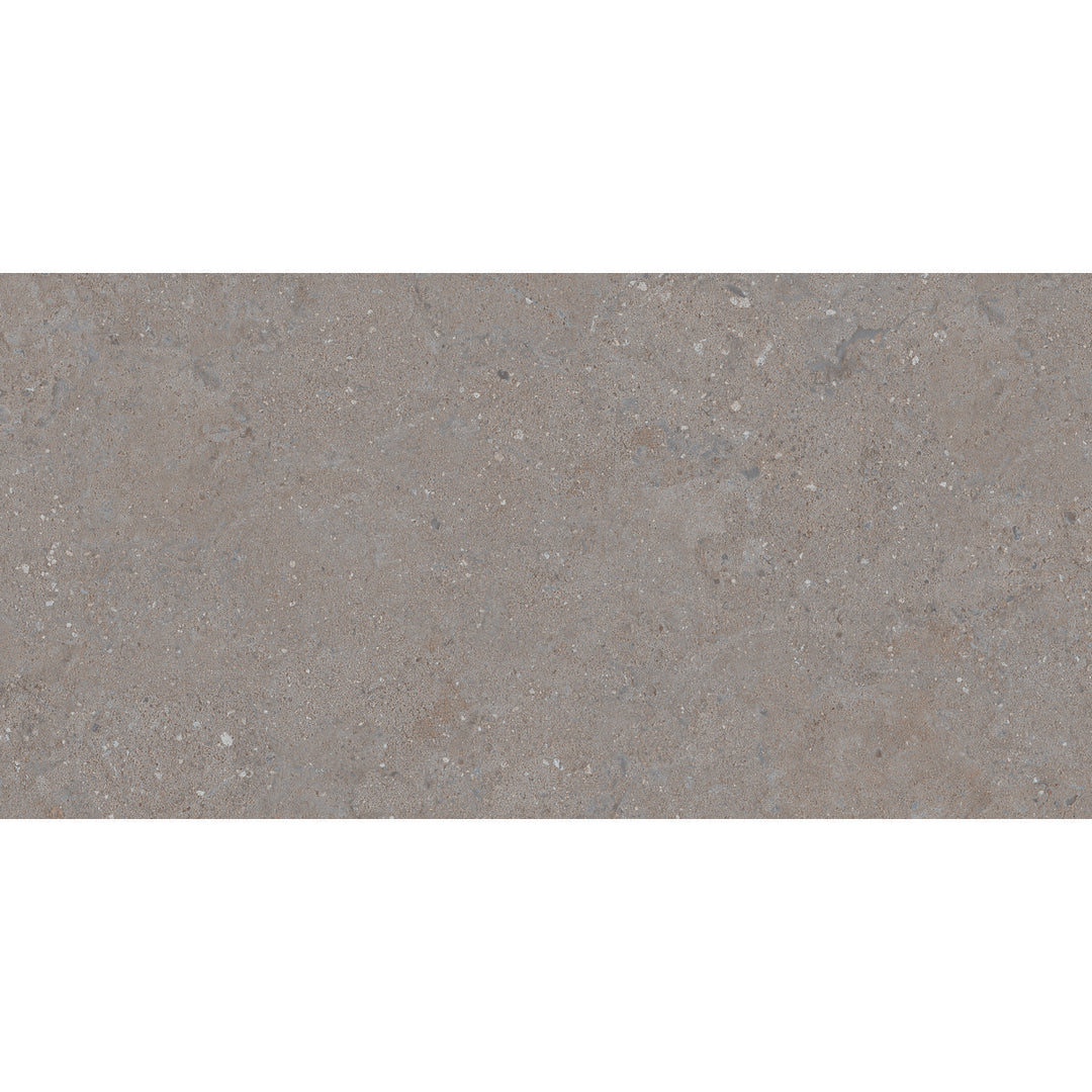 Celta Gris 60 x 120 Rectified Porcelain Tile - 1.44sqm perbox