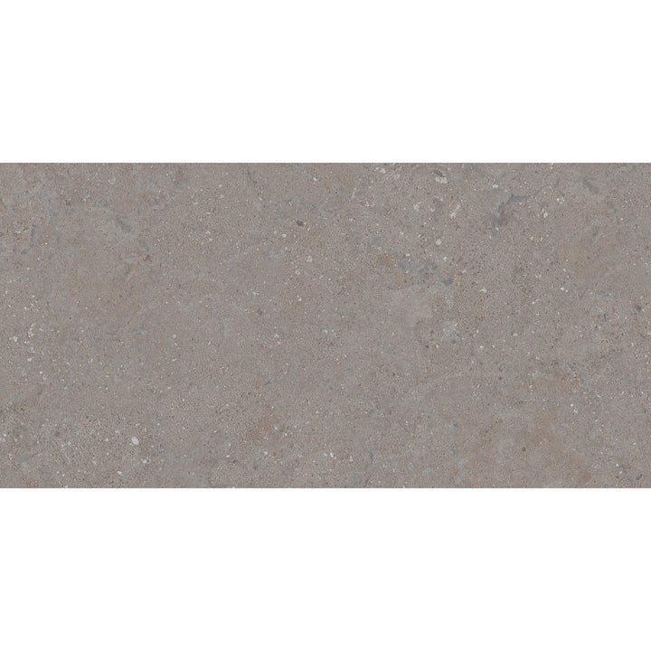 Celta Gris 60 x 120 Rectified Porcelain Tile - 1.44sqm perbox