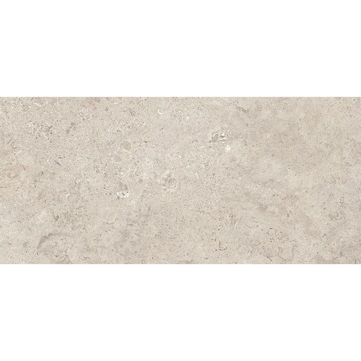 Coralstone Calcite 60 x 120cm Rectified Porcelain Floor Tile - 1.44sqm perbox