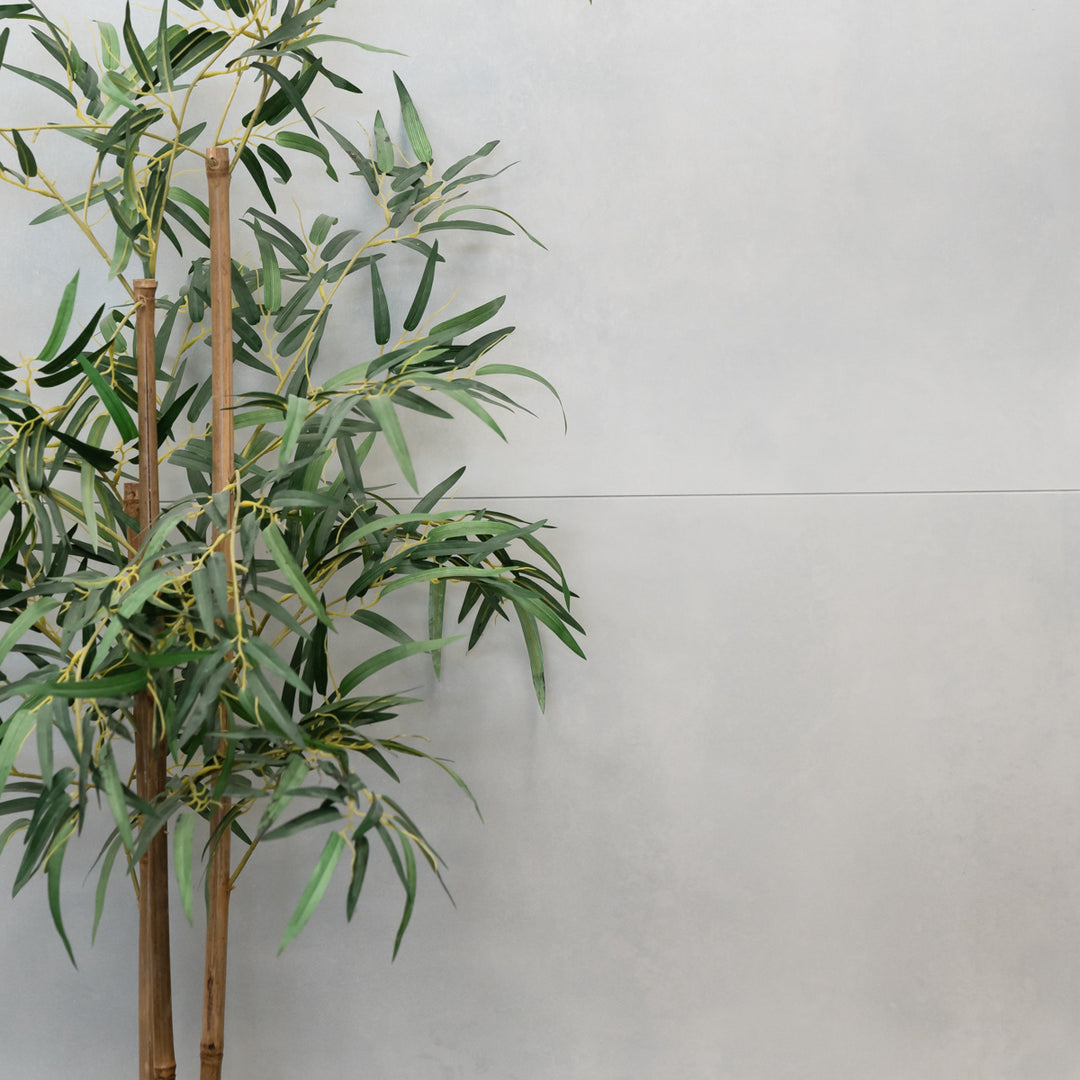 Iron White Matt 60 x 120cm Rectified Porcelain Tile - 1.44sqm perbox