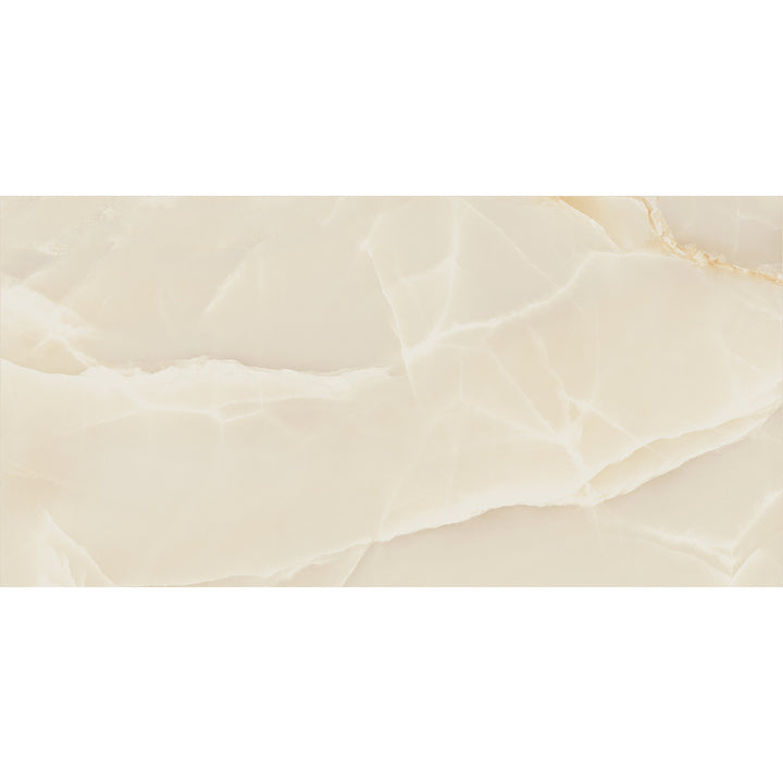 Onyx Sable 60 x 120cm Polished Rectified Tile  - 1.44sqm perbox