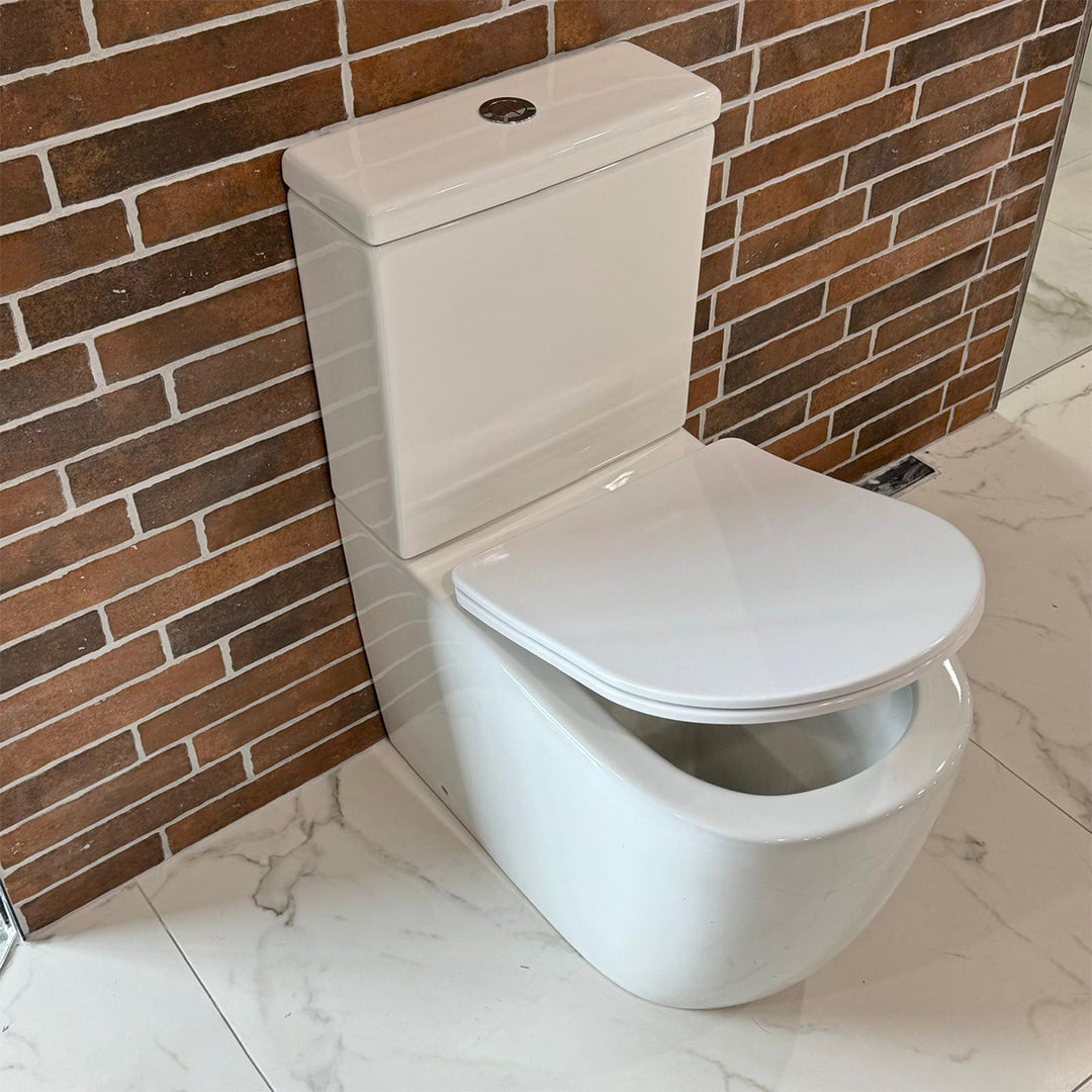 Remo Rimless Fully Back to Wall Pan & Soft Close Seat