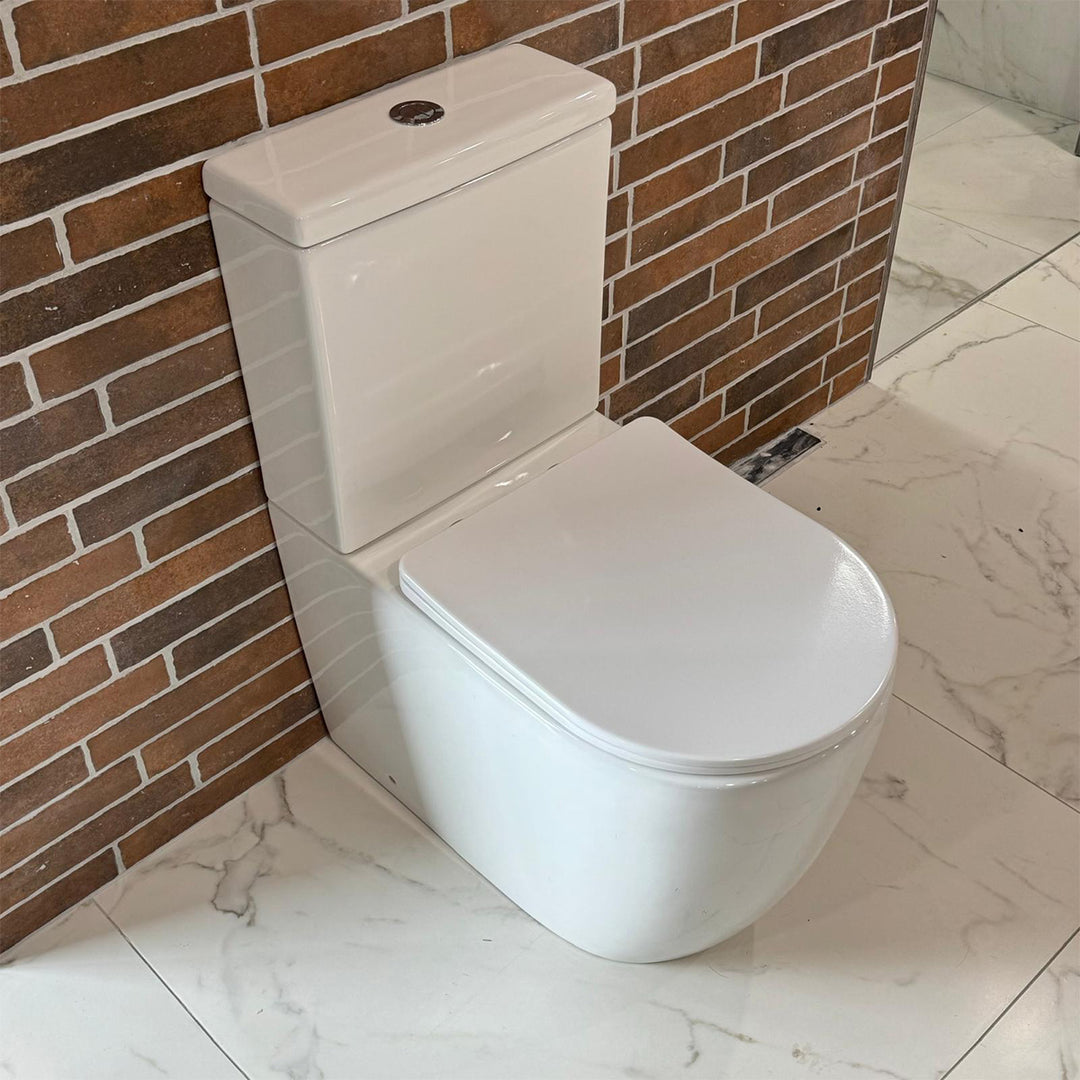 Remo Rimless Fully Back to Wall Pan & Soft Close Seat