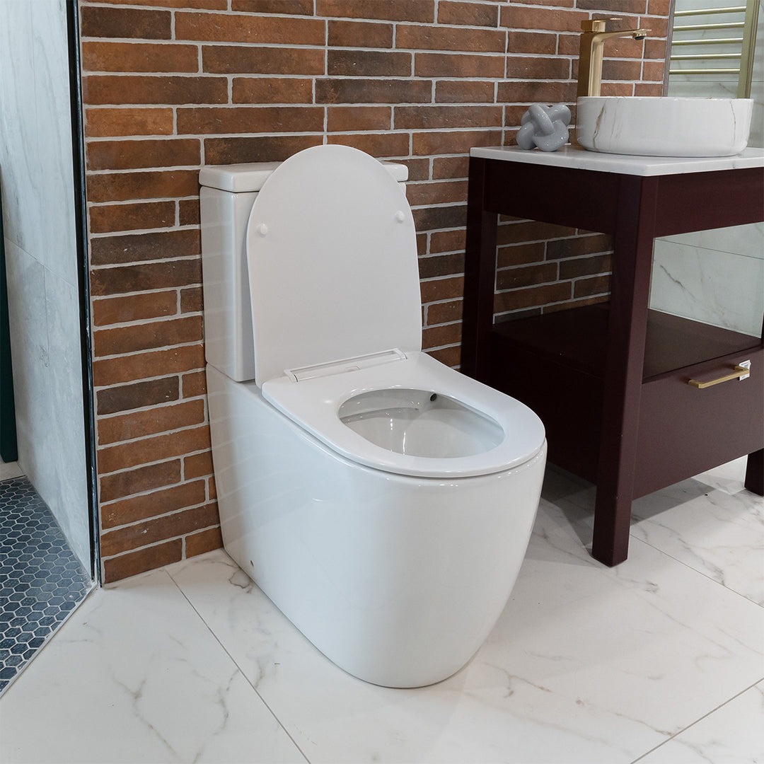 Remo Rimless Fully Back to Wall Pan & Soft Close Seat