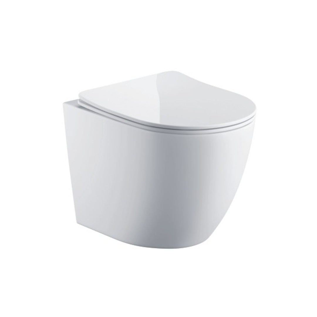 Remo Wall Hung Toilet & SAN85 1.1m Wall Hung WC Frame Deal & Black Flush Plate