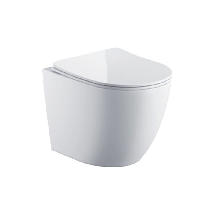 Remo Wall Hung Toilet & SAN85 1.1m Wall Hung WC Frame Deal & Black Flush Plate